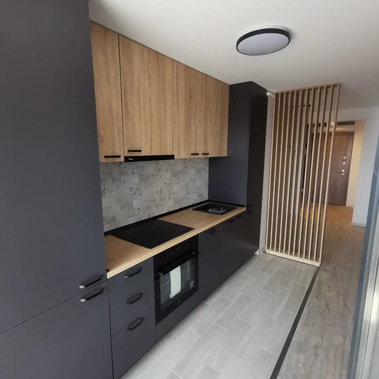Proiect bucătărie — LICAN MOB
