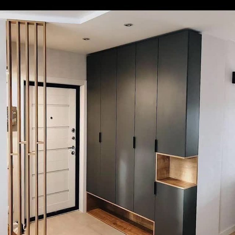 Proiect dressing și hol — LICAN MOB