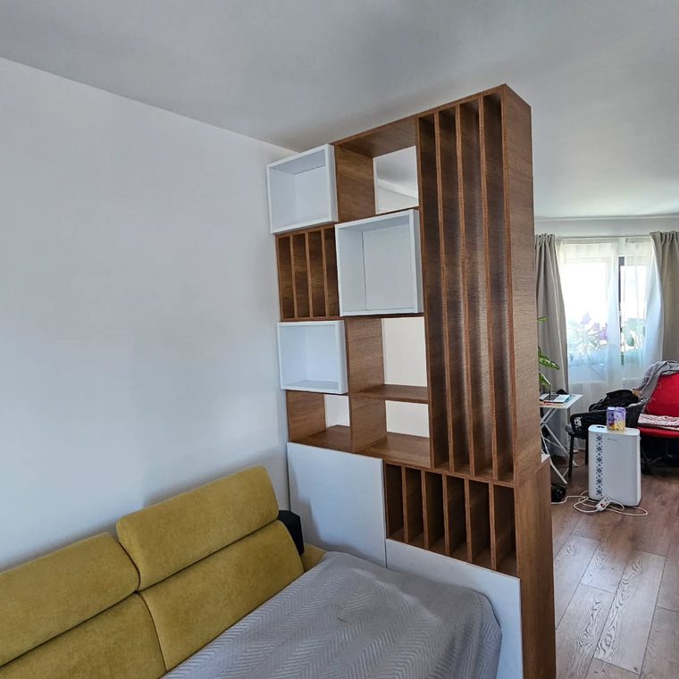 Proiect living — LICAN MOB
